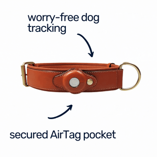  AirTag Dog Collar By CollarTrek