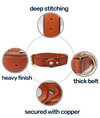 AirTag Dog Collar Specifications