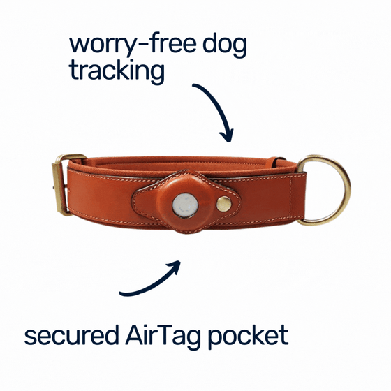 AirTag Dog Collar Features